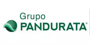 Pandurata